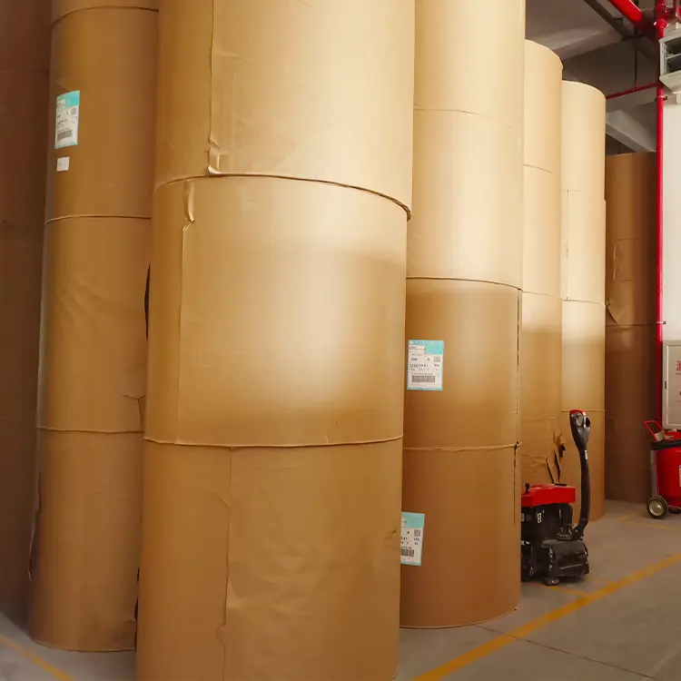 Massive Selection for 80mm Thermal Paper -
 Custom 405mm 640mm 880mm width thermal paper jumbo till roll – Sailing