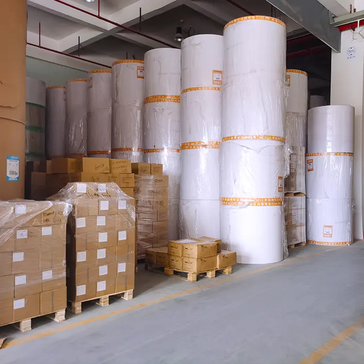 Massive Selection for 80mm Thermal Paper -
 Custom 405mm 640mm 880mm width thermal paper jumbo till roll – Sailing