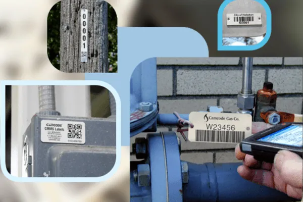 Barcode-Labels-6