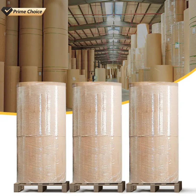 China Manufacturer for Jumbo Thermal Paper 55gsm – Custom 3plys carbonless paper a4 computer forms – Sailing